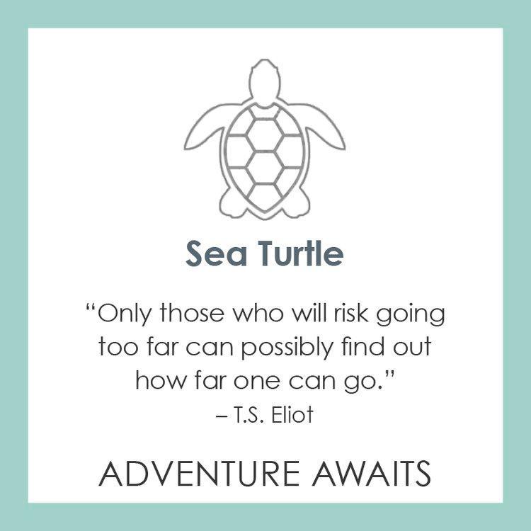 Sea Turtle Pendant