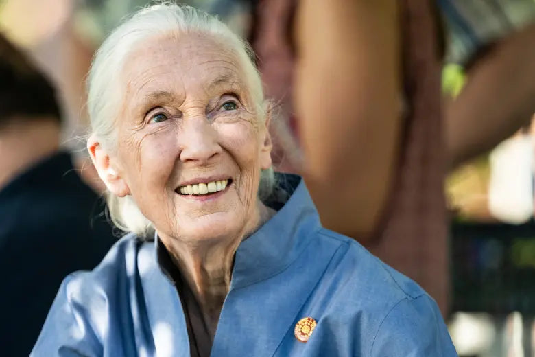 Celebrating Jane Goodall