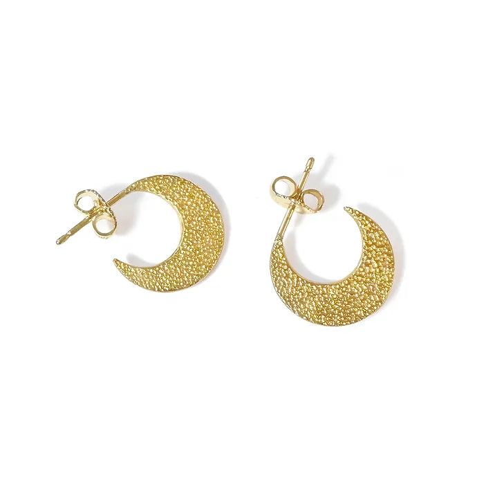 Little Crescent Hoop Earrings