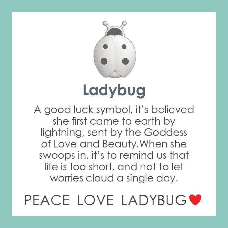 Ladybug Pendant